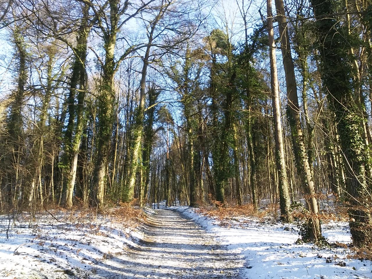 20160117_102418