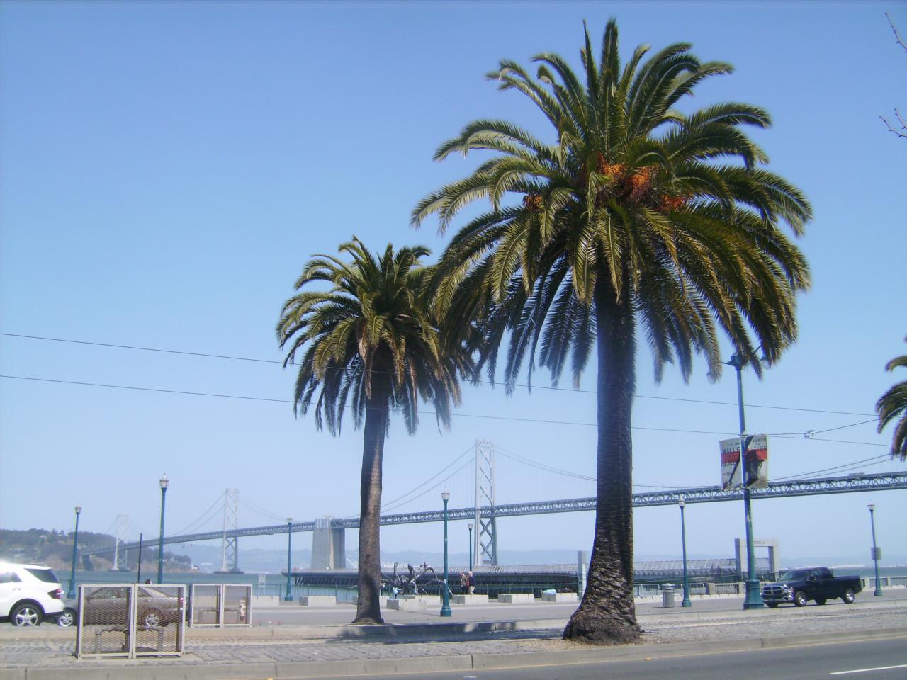 IMGP0027