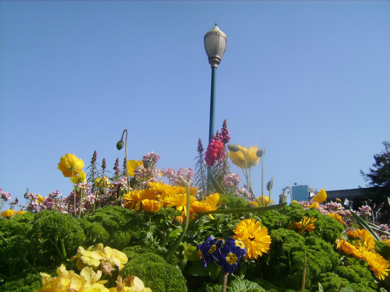 IMGP0068