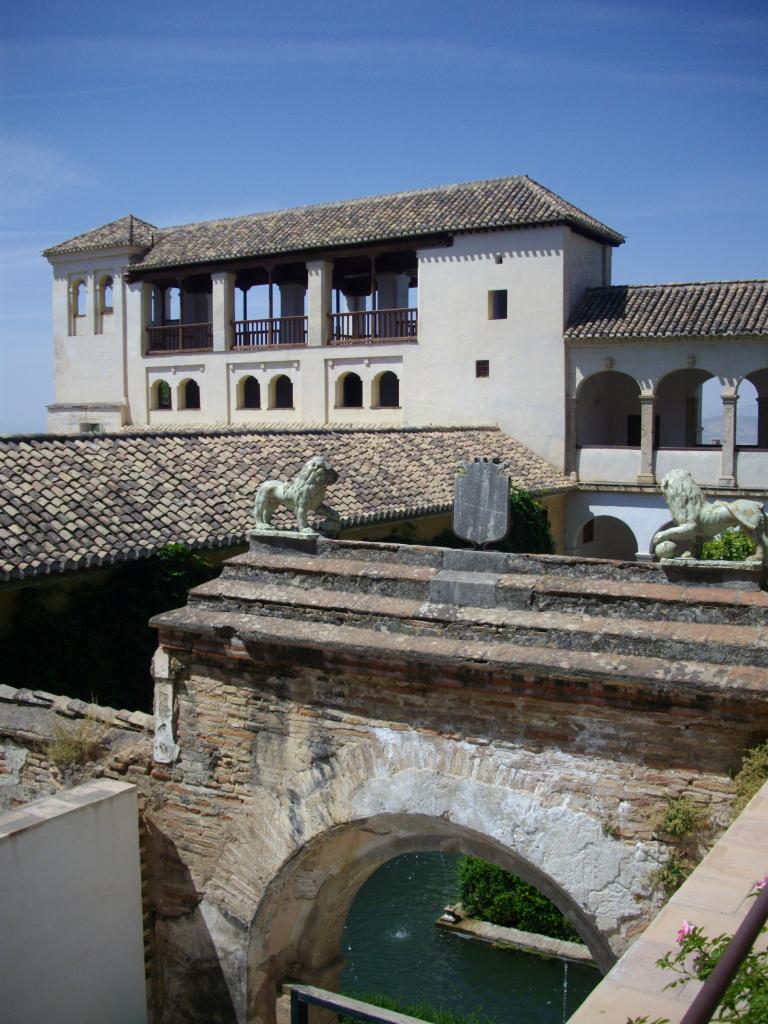 IMGP0241