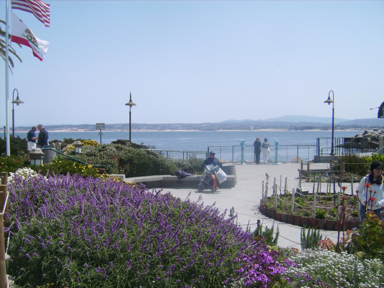 IMGP0246
