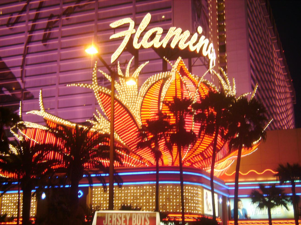 Flamingo