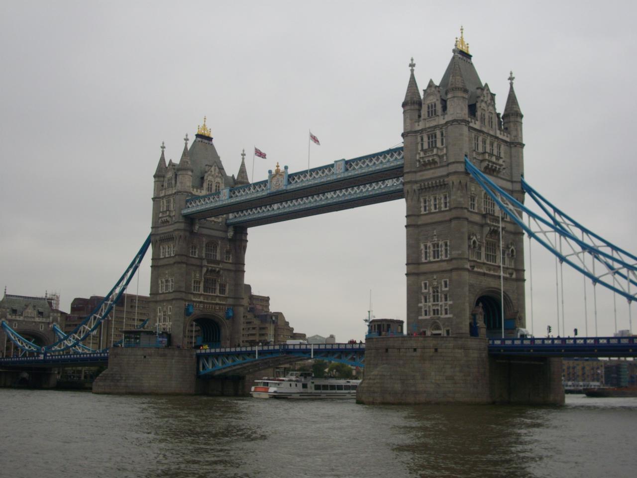 IMGP4630
