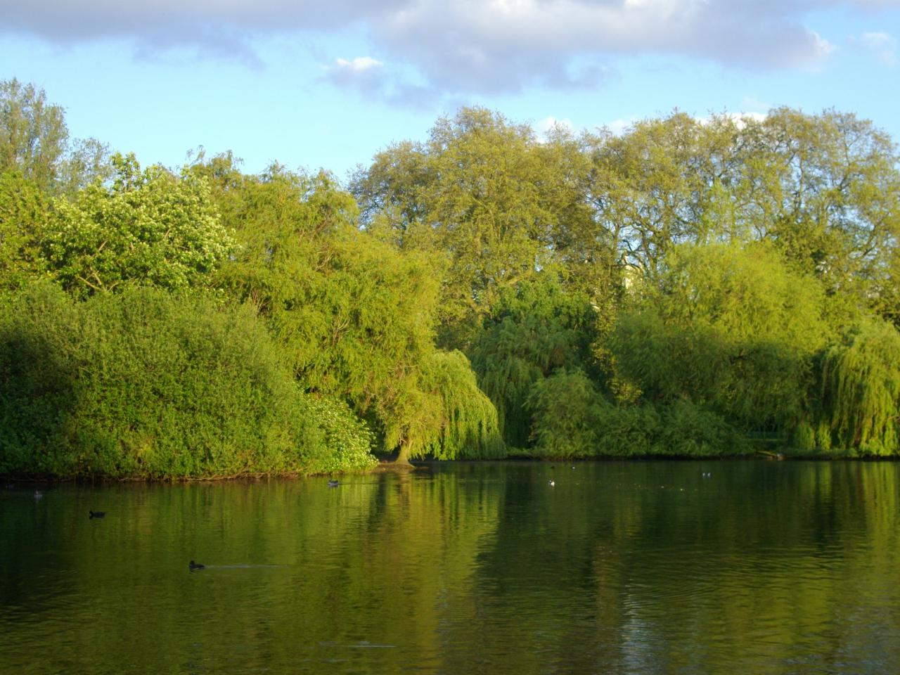 IMGP4667