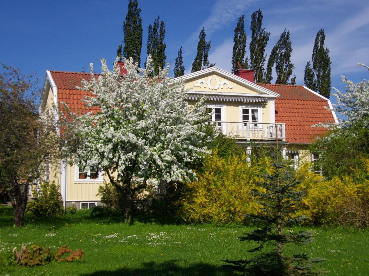 IMGP4853