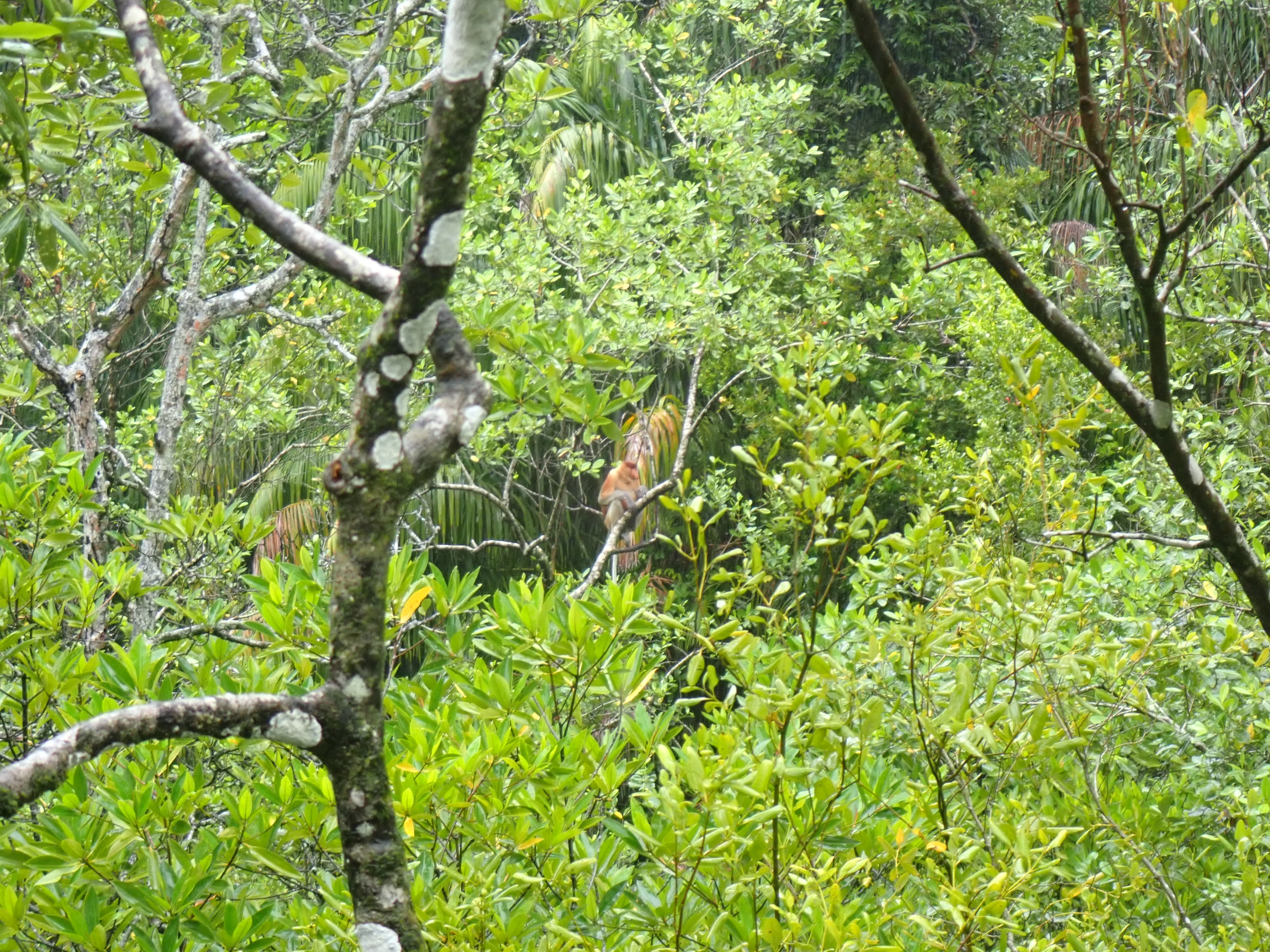 P2050296