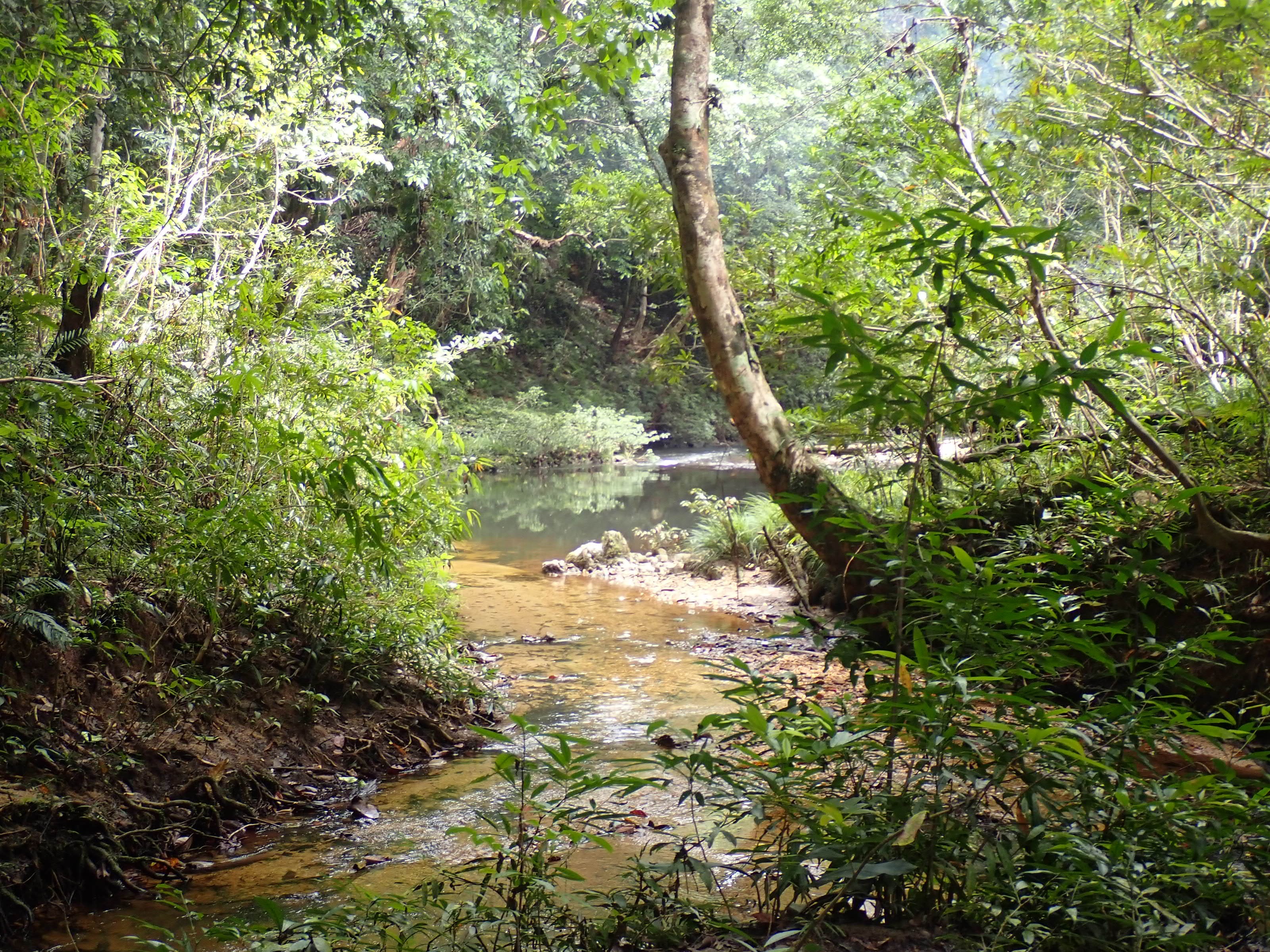 P2070434