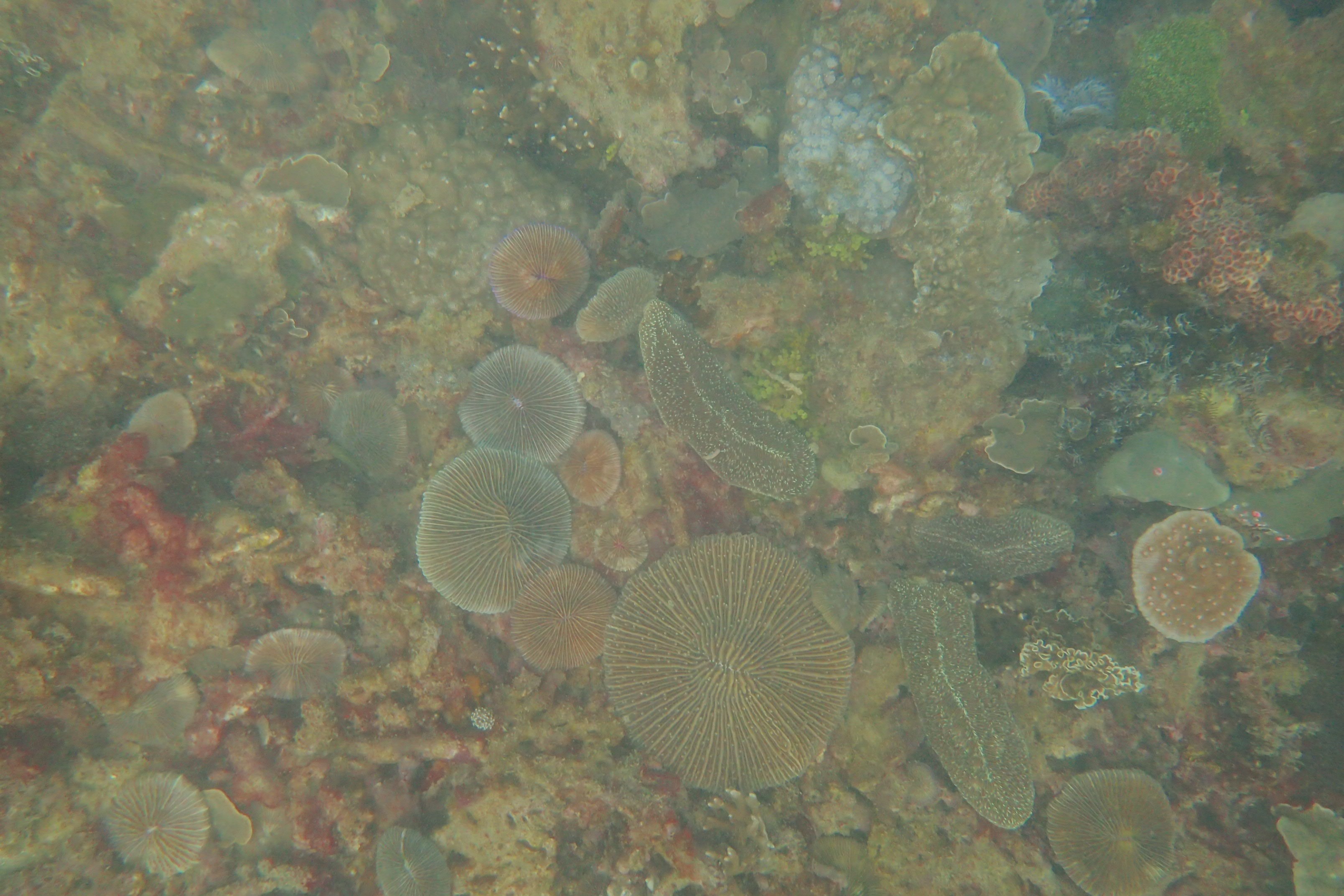 P2130663